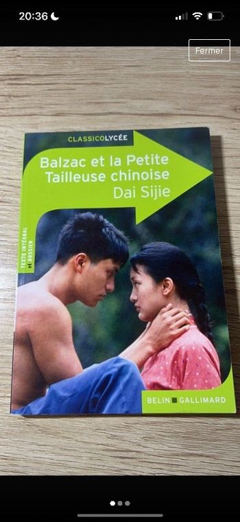 livre balzac et la petite tailleuse chinoise de dai sijie