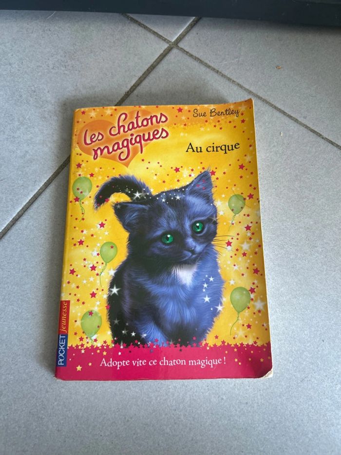 Livre les chaton magique