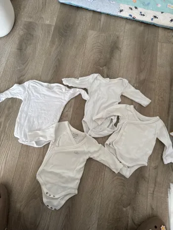 Lot body