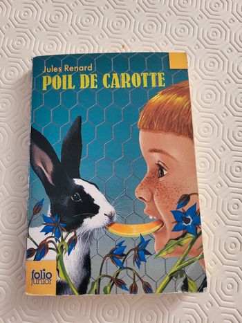 Livre Poil de Carotte