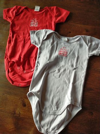 Lot 2 bodies manches courtes 12 mois