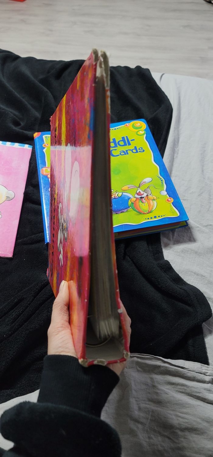 Classeur diddl - photo numéro 7