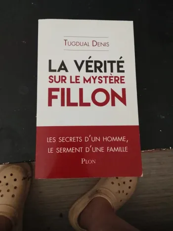 Livre de tugdual Denis
