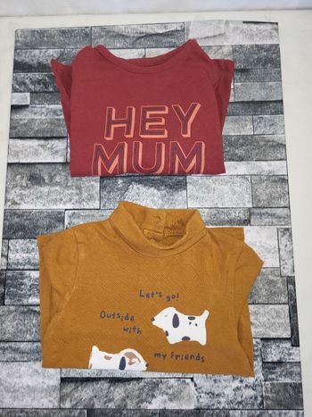 Lot duo tee-shirt manches longues 18 mois