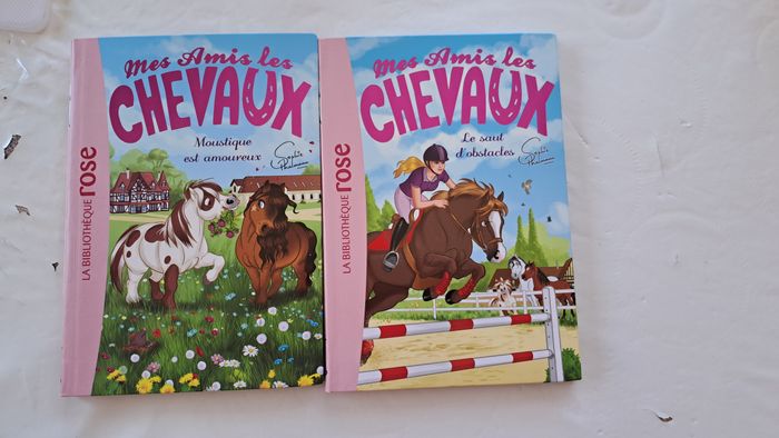 lot de deux livres - photo numéro 8