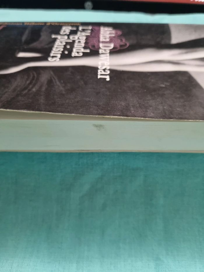 L'agenda des plaisirs - photo numéro 4