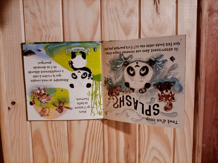 Petit Panda sauve la planète - photo numéro 2