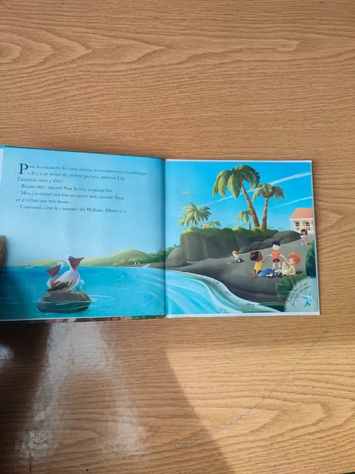 Livre le volcan de la Soufrière - photo numéro 8