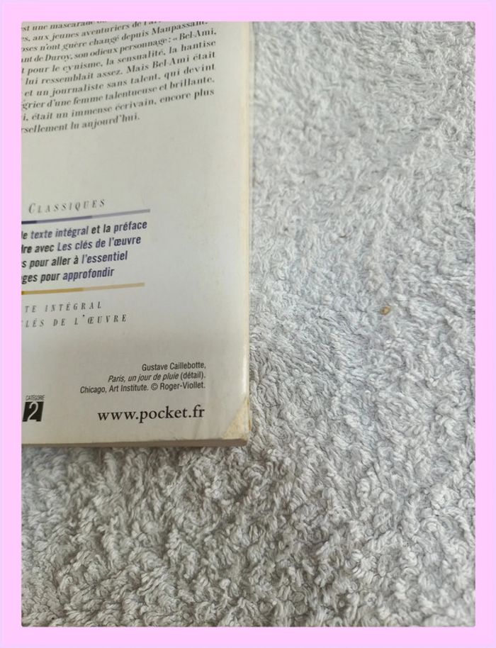 Guy de Maupassant - Bel-Ami - photo numéro 5