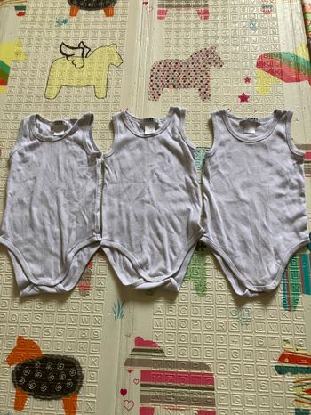 Vend lot de 3 bodies Cocoon taille 24 mois