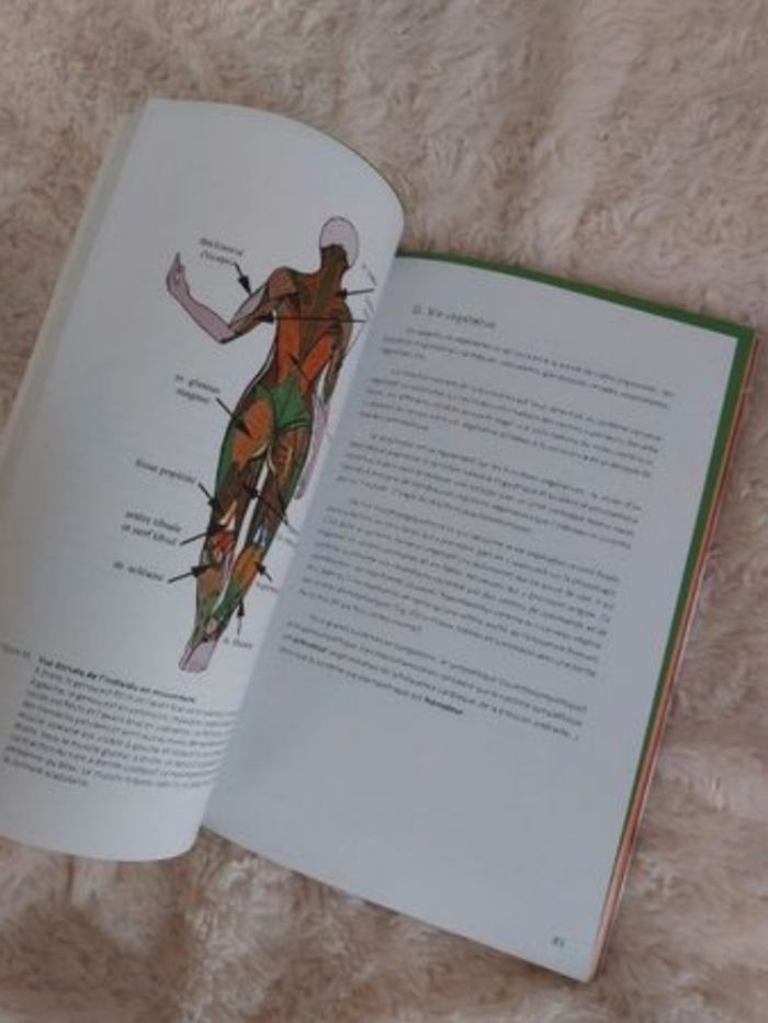 Livre les clés de l'anatomie - photo numéro 2