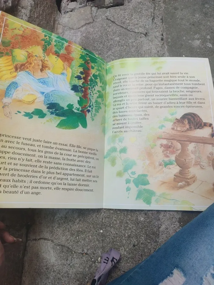 Livre le petit chaperon rouge et la belle au bois dormant - photo numéro 8