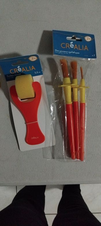 Lot de 3 pinceaux et 1 rouleau pour peinture