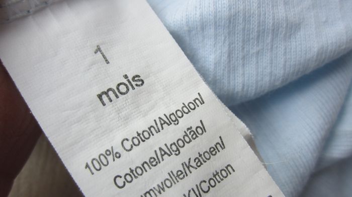 Bodie croisé 1 mois - photo numéro 3