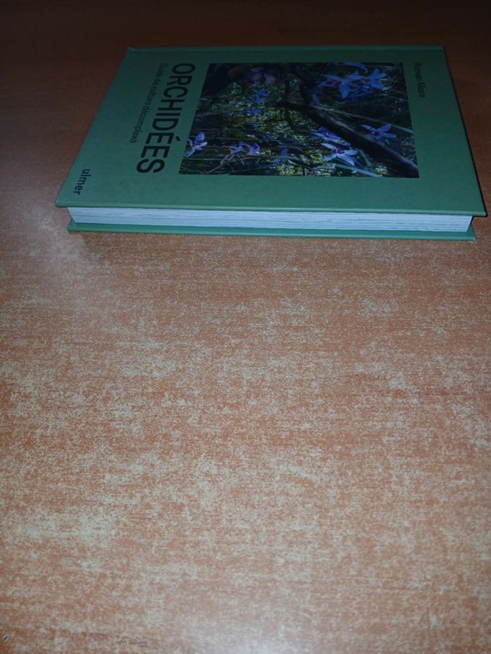 Orchidée guide de culture décomplexé - photo numéro 4