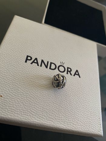 Charme Pandora Galaxie