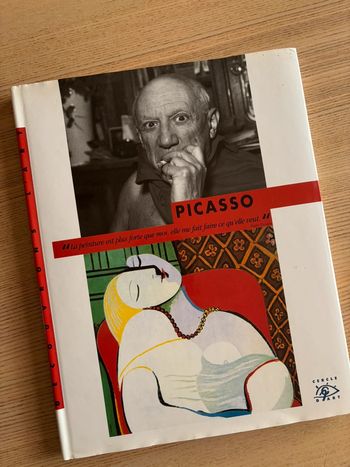 Livre Picasso