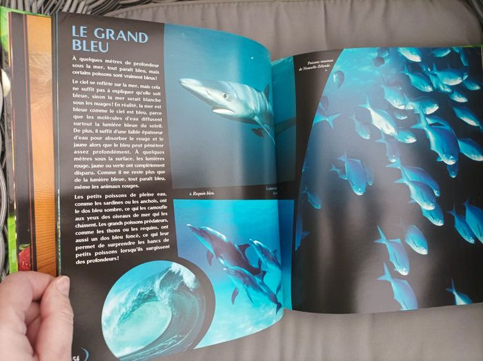 Magnifique livre " les couleurs dans la nature" TBE - photo numéro 8