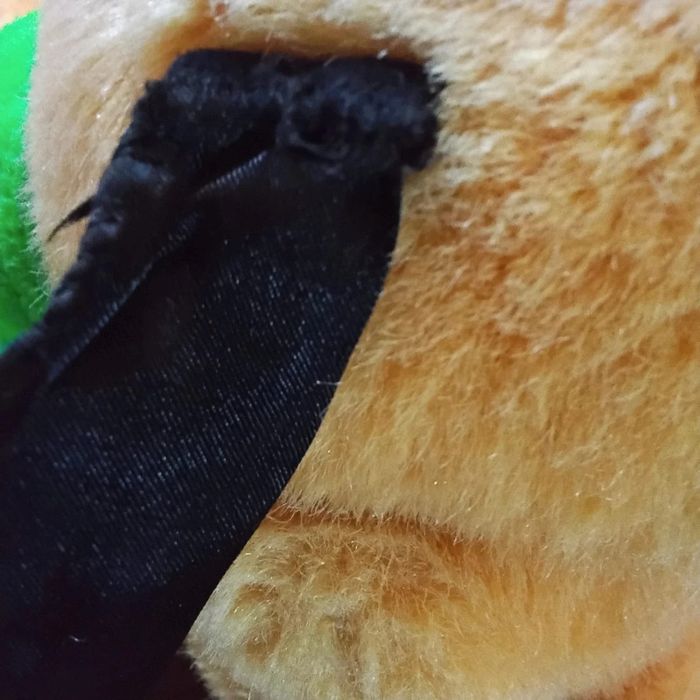 Pluto - photo numéro 3