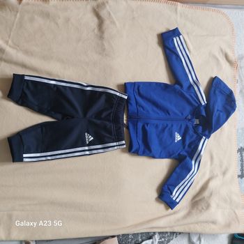Ensemble  Addidas garçon 3/6 mois  + basket T18