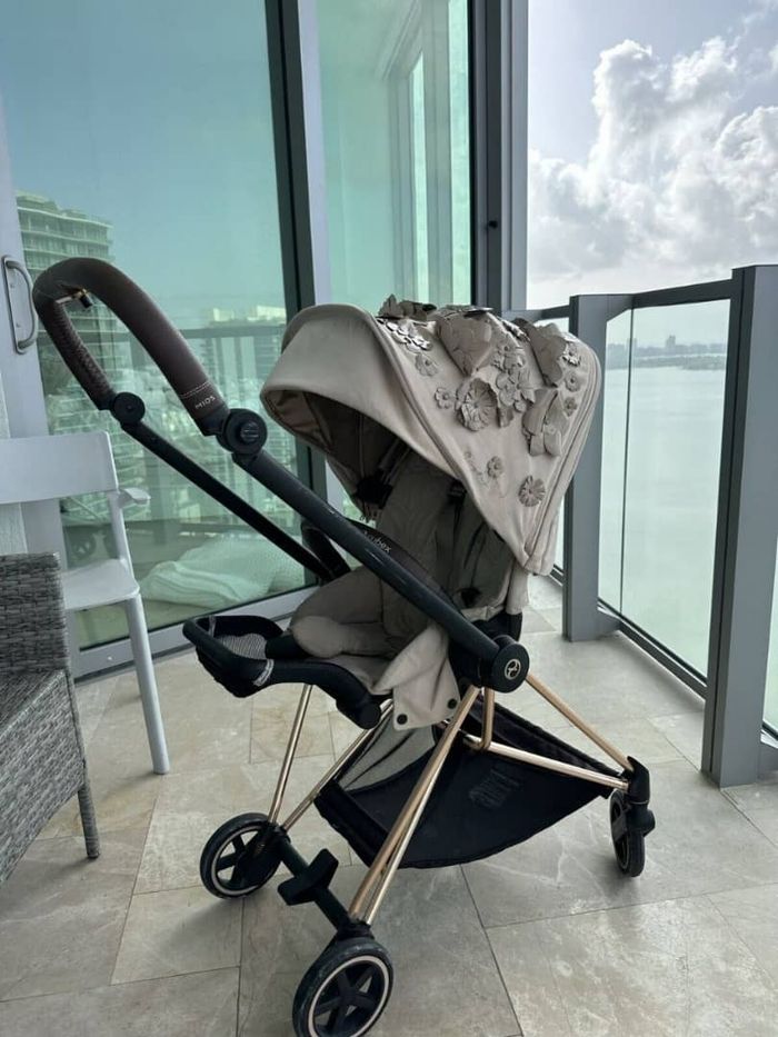 Poussette Cybex - photo numéro 8