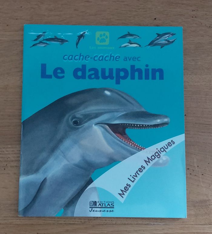 Cache cache avec Le dauphin