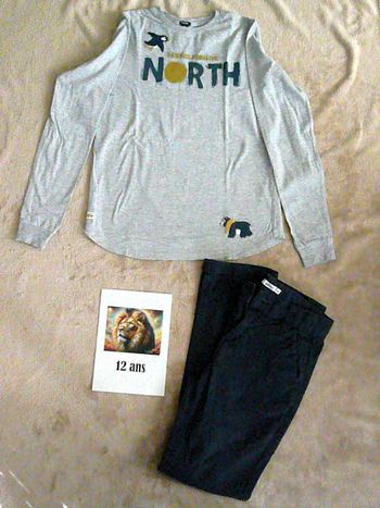 Ensemble garçon 12 ans (n°15)