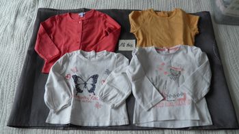 Lot de 4 vêtements fille 18 mois