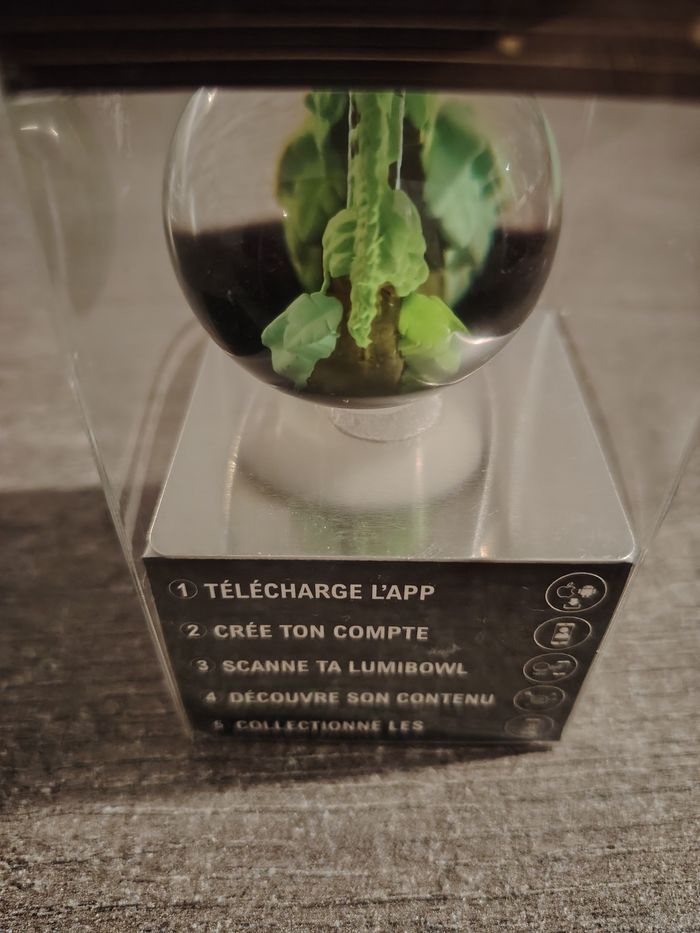 Lumibowl - photo numéro 2