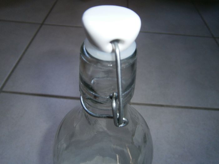 Bouteille en verre pour une plante - photo numéro 6