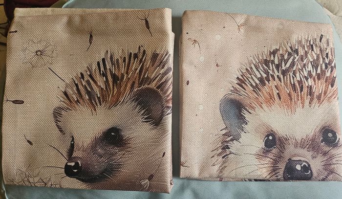 2 housses de coussins hérisson - photo numéro 5
