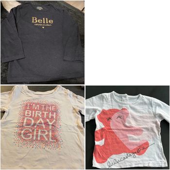 Lot de 3 T-shirt manches longues / Taille 18 mois