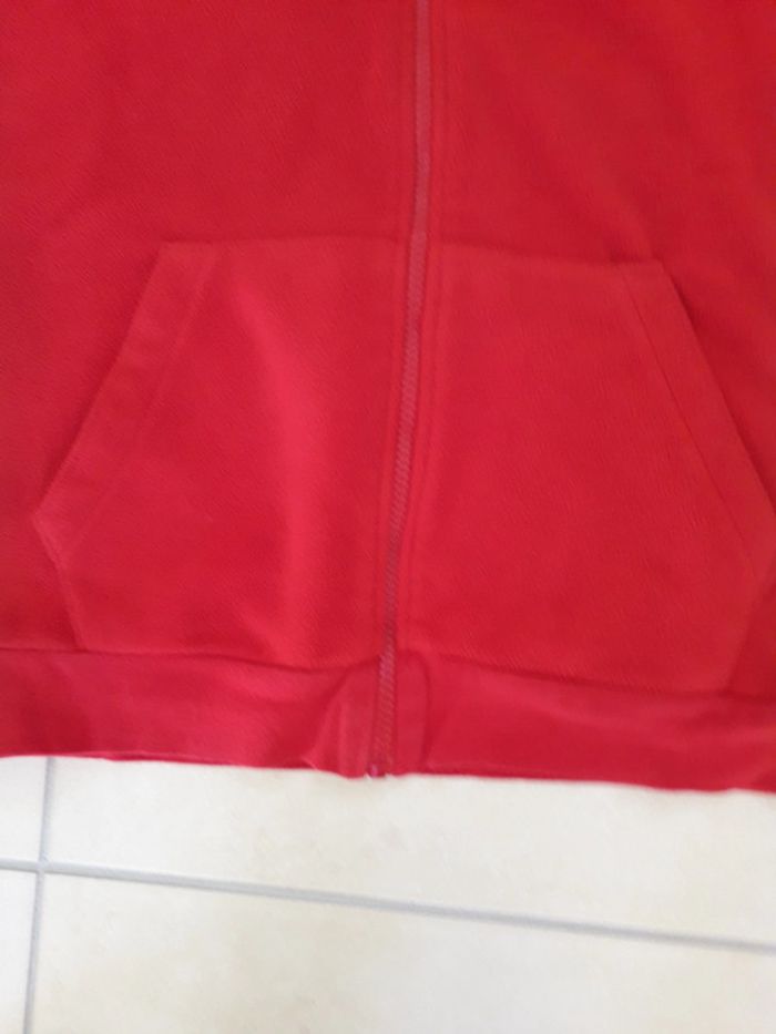 Gilet polaire capuche t 12 ans - photo numéro 10
