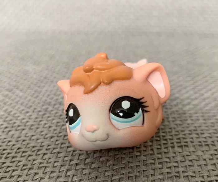 Petshop Cochon d’Inde - 2€ l’unité - photo numéro 6