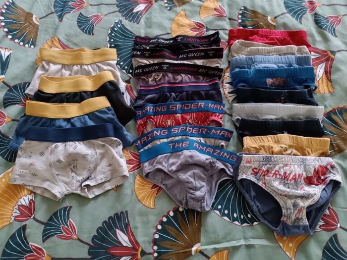 Lot de 16 slips et 4 caleçons
