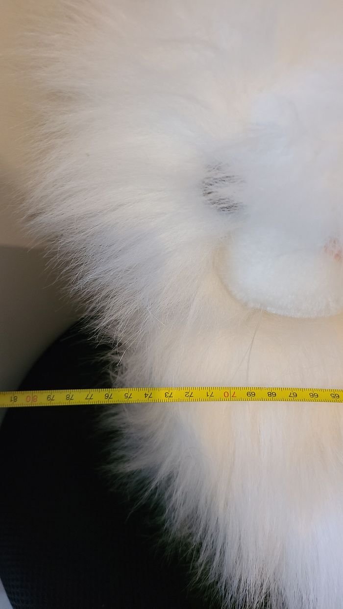 peluche chat blanc angora gipsy range pyjama - photo numéro 4