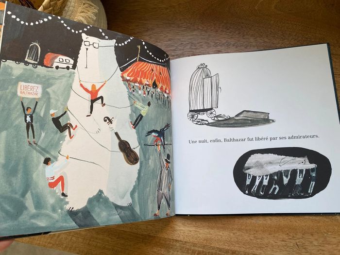 Livre expédition Balthazar - photo numéro 6