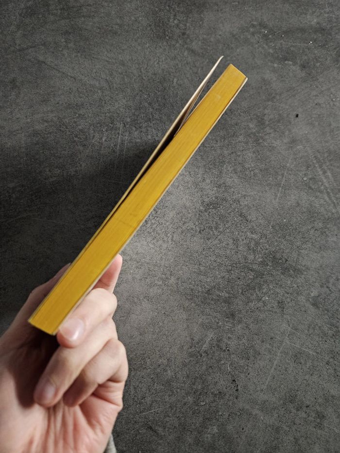 Livre religion et spiritualité islam "Un procès sans appel" - Freidoune Sahebjam - photo numéro 4