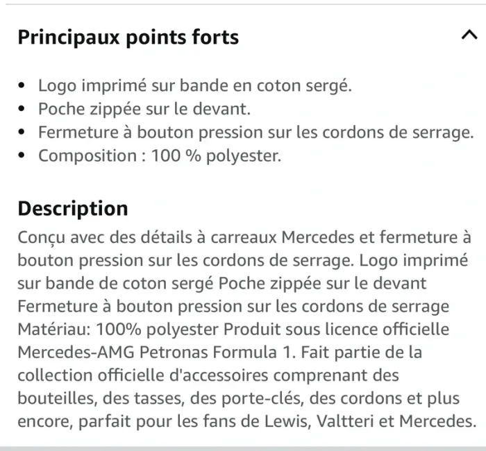 sac Mercedes AMG Petronas F1 - photo numéro 5