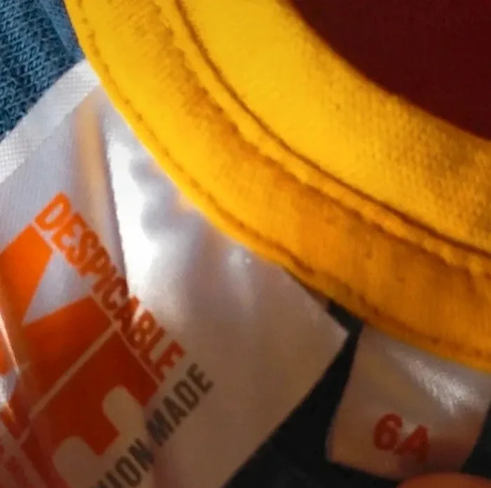 T-shirt  minion skateboard oarad  taille 6 ans - photo numéro 4
