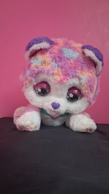 Rainbow mon chien bobo