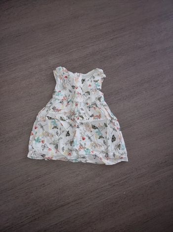 Robe papillon