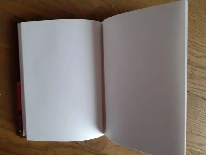 📙 Neuf carnet A5 pages blanches - photo numéro 2