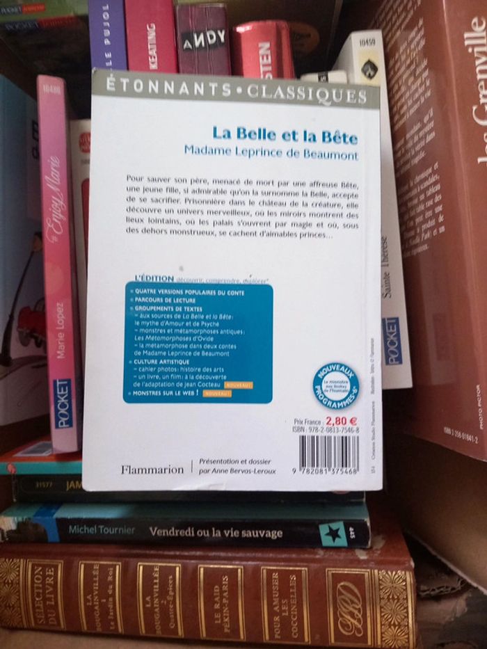 La belle et la bête - photo numéro 2