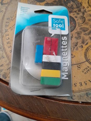 Magnettes