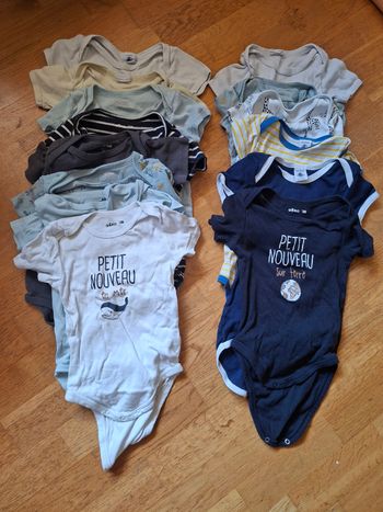 Lot bodies manches courtes 36 mois