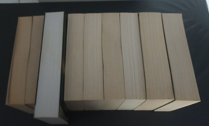 Lot collection de livres Anita Blake de Laurell k. Hamilton - photo numéro 4