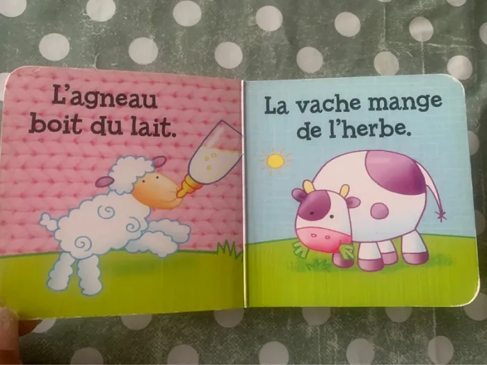 Livre poignée - photo numéro 2