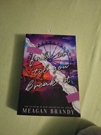 Livre : Fake It'Til You Break It