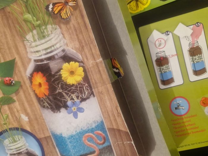 Terrarium Plants Neuf - photo numéro 3